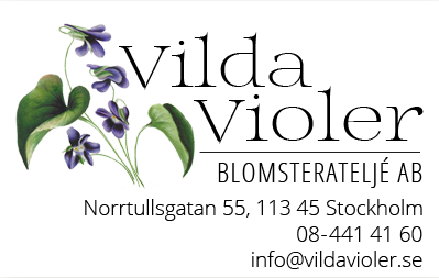 Vilda Violer logo